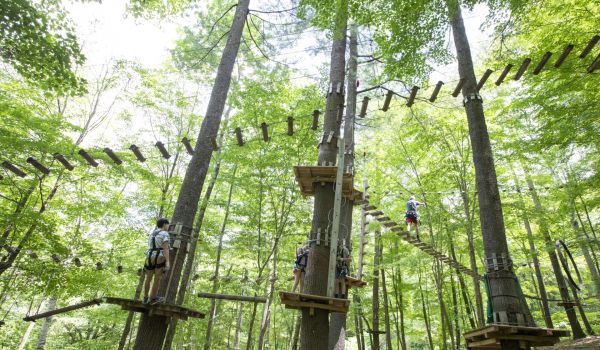 Kids playing on the aerial adventure park at Catamount Resort