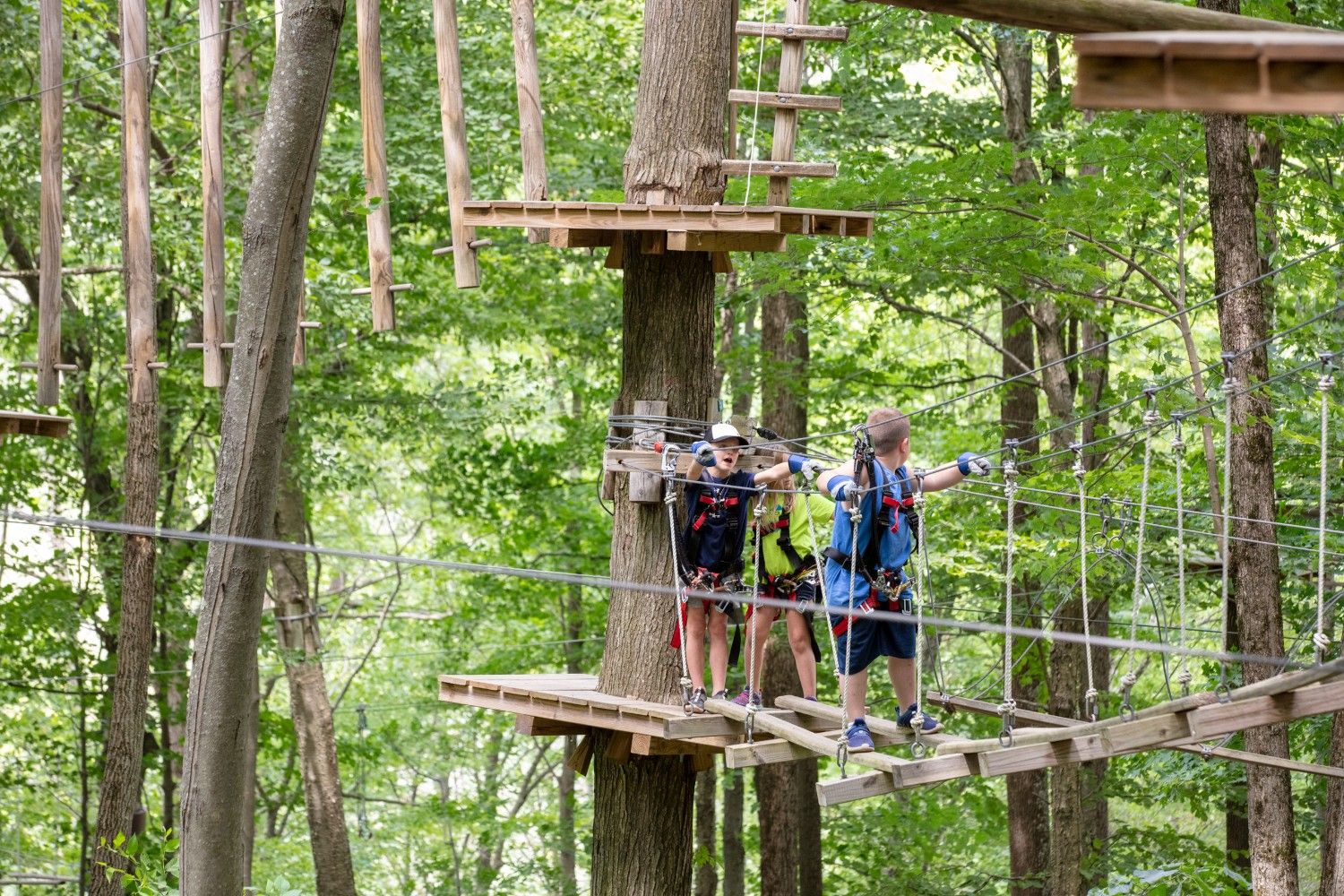 Kids climbing across wooden bridge in the aerial adventure park