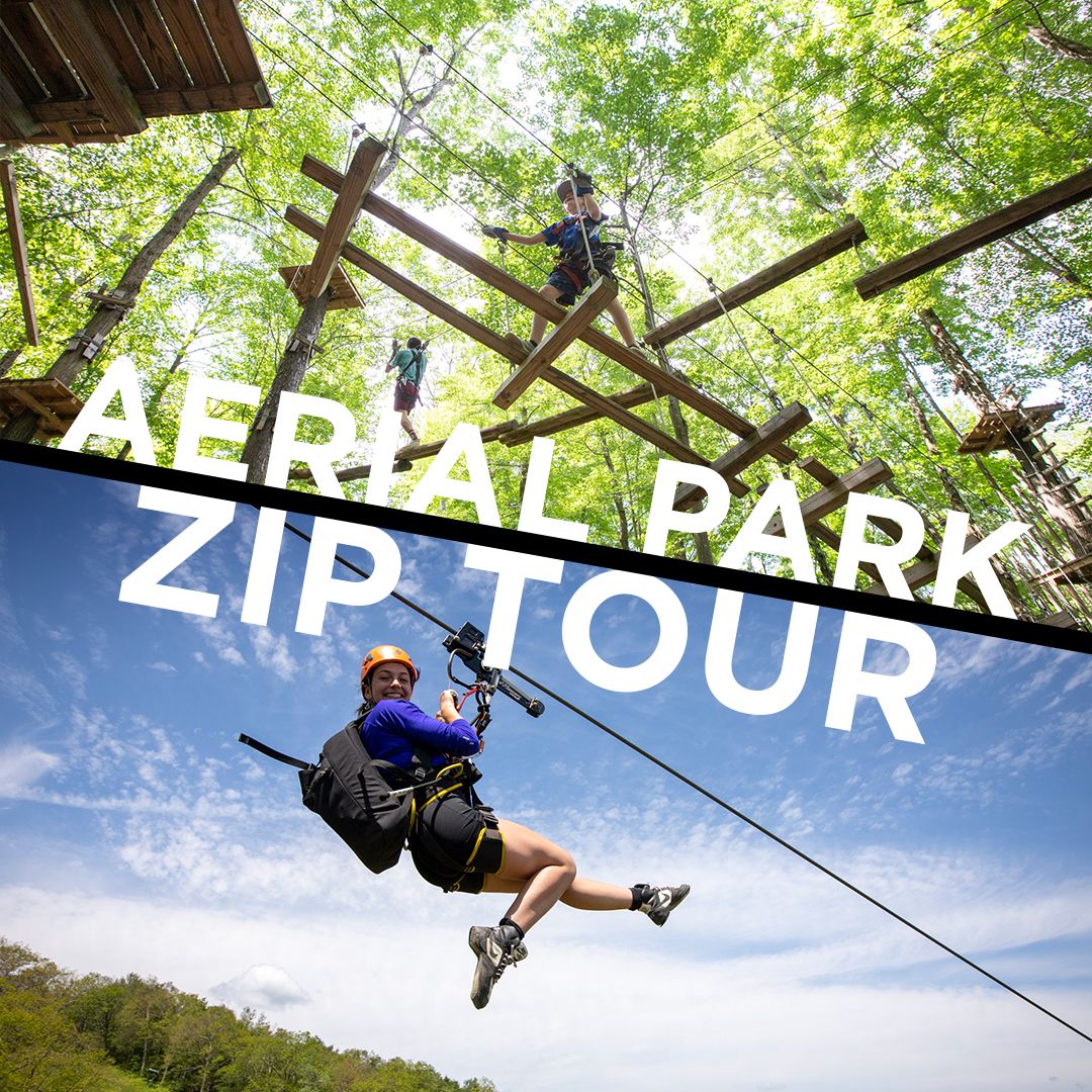 photo of aerial adventure park and zip tour