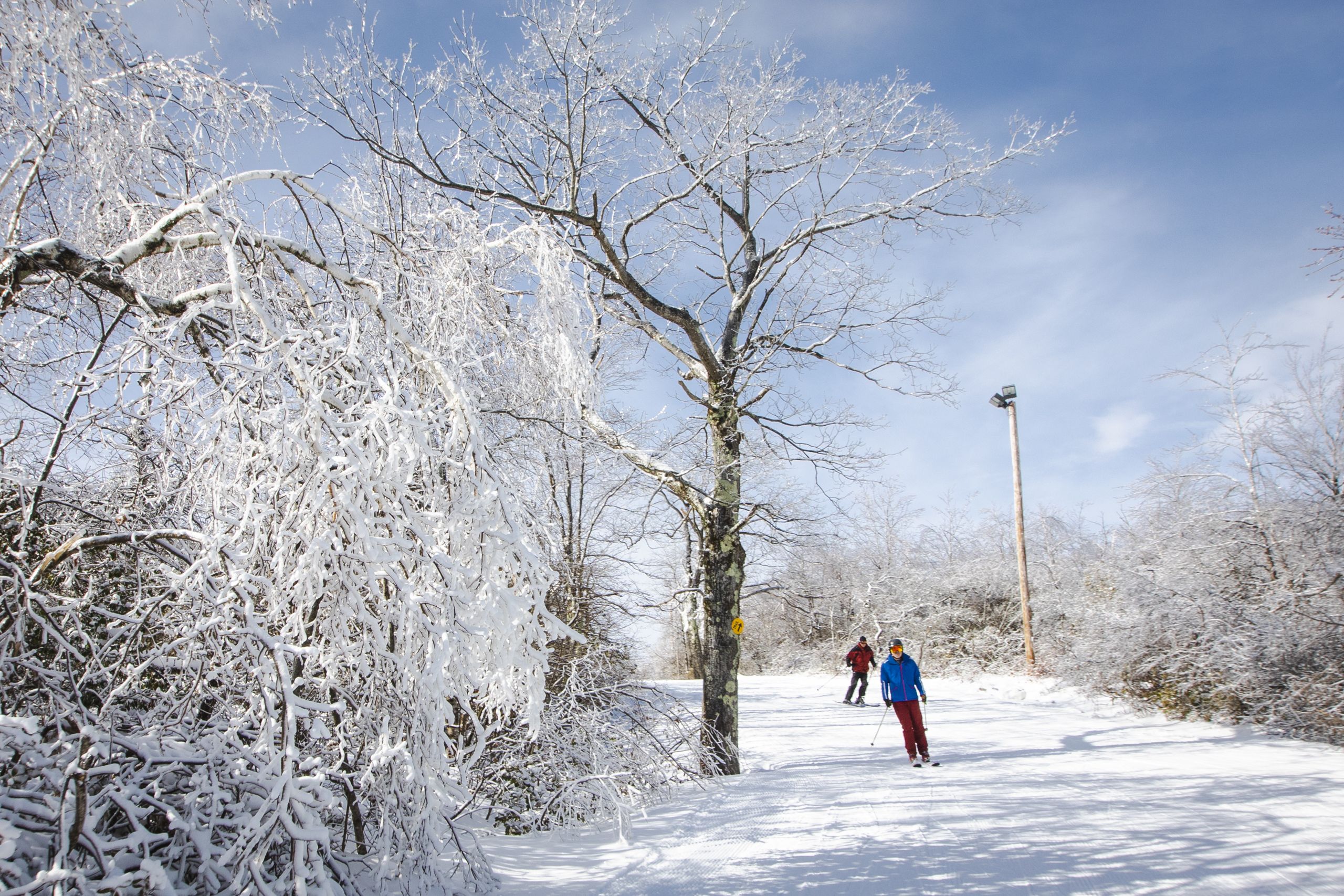 Catamount Zipline Tour