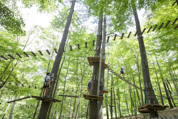 Three children climbing on the aerial adventure park at Catamount Resort
