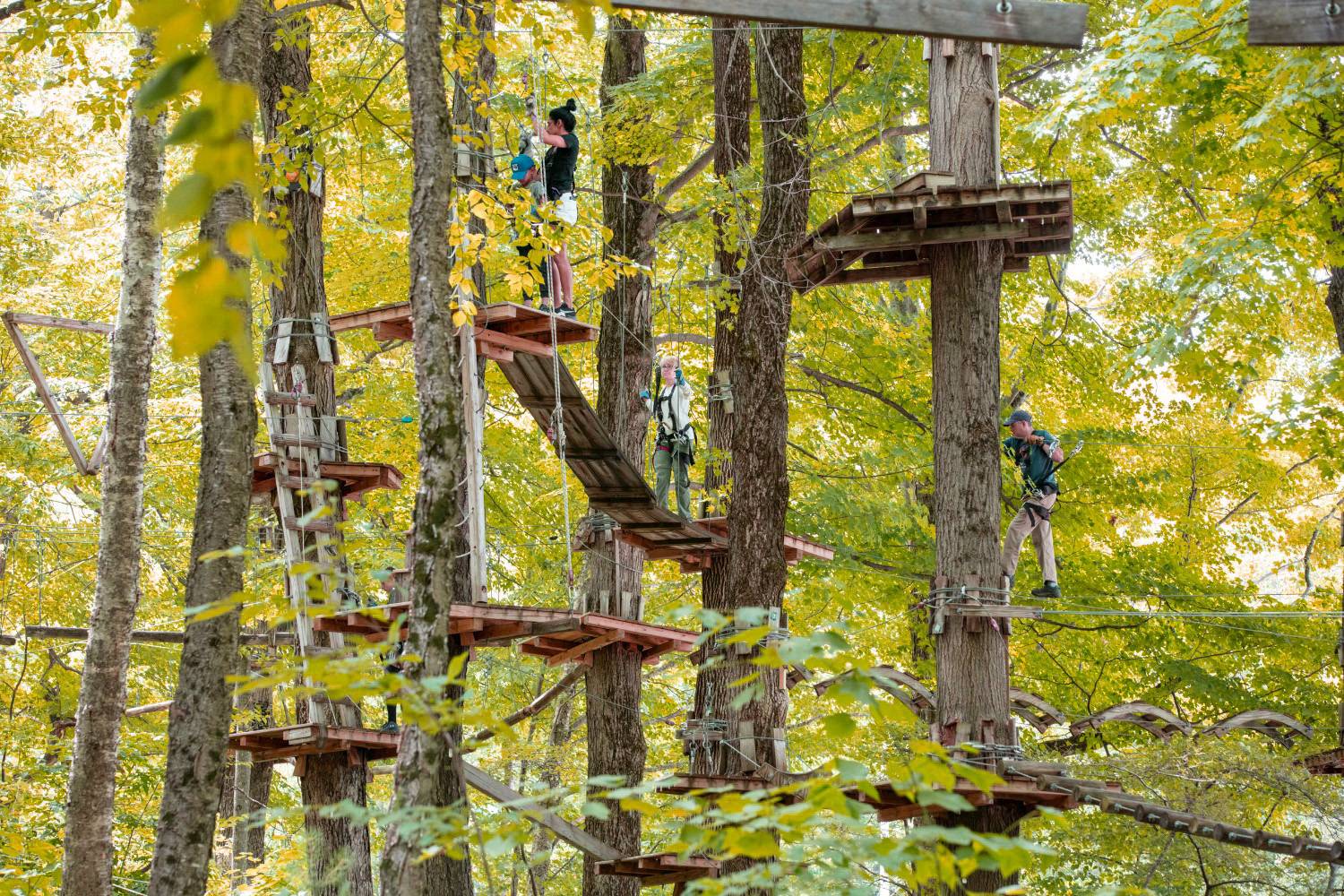 Aerial Adventure Park