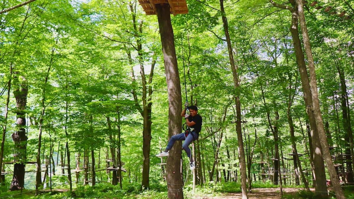 Aerial Adventure Park