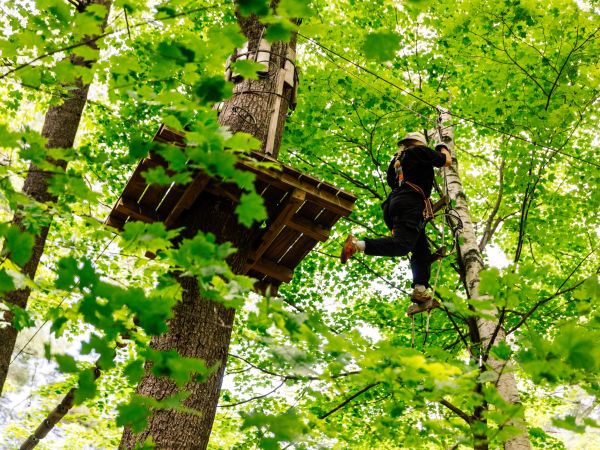 Aerial Adventure Park at Catamount