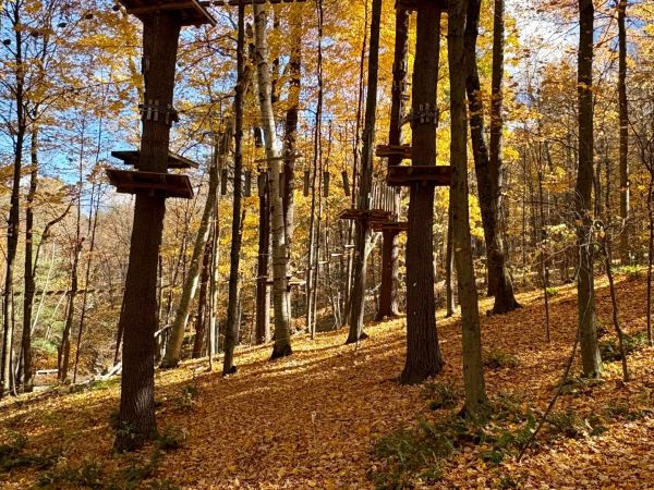 Aerial Adventure Park at Catamount